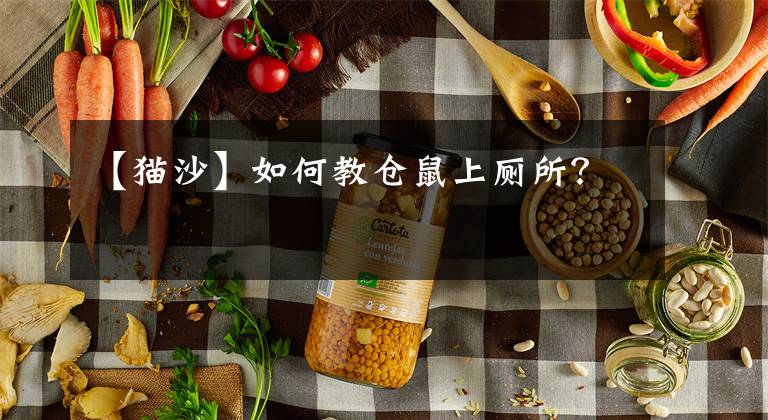 【猫沙】如何教仓鼠上厕所？