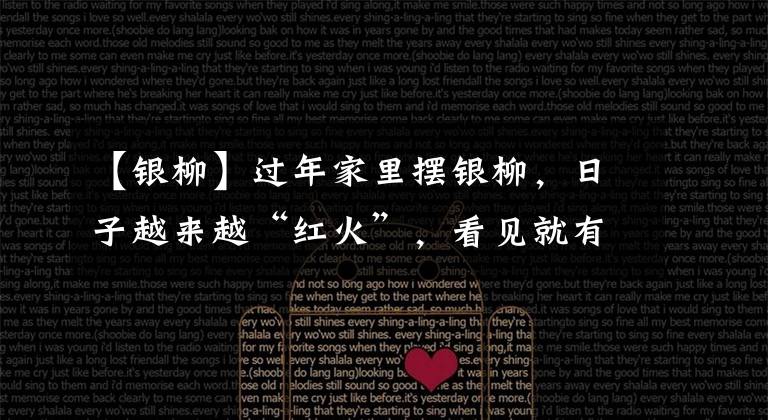 【银柳】过年家里摆银柳,日子越来越“红火”,看见就有喜庆的感觉