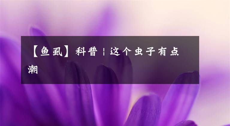 【鱼虱】科普 | 这个虫子有点潮