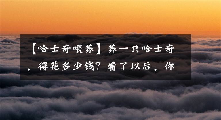 【哈士奇喂养】养一只哈士奇，得花多少钱？看了以后，你还敢养吗