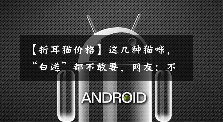 【折耳猫价格】这几种猫咪，“白送”都不敢要，网友：不敢养