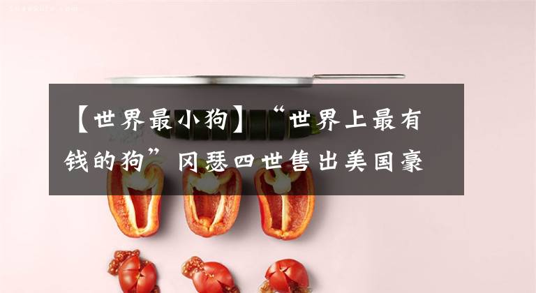 【世界最小狗】“世界上最有钱的狗”冈瑟四世售出美国豪宅，拥有超25亿元财产