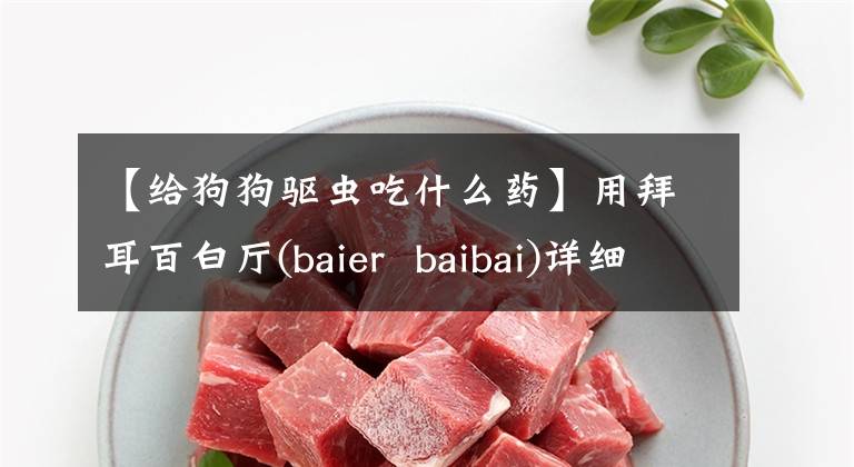 【给狗狗驱虫吃什么药】用拜耳百白厅(baier baibai)详细说明给狗做体内驱虫的方法