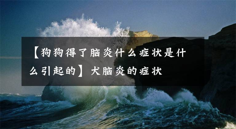 【狗狗得了脑炎什么症状是什么引起的】犬脑炎的症状