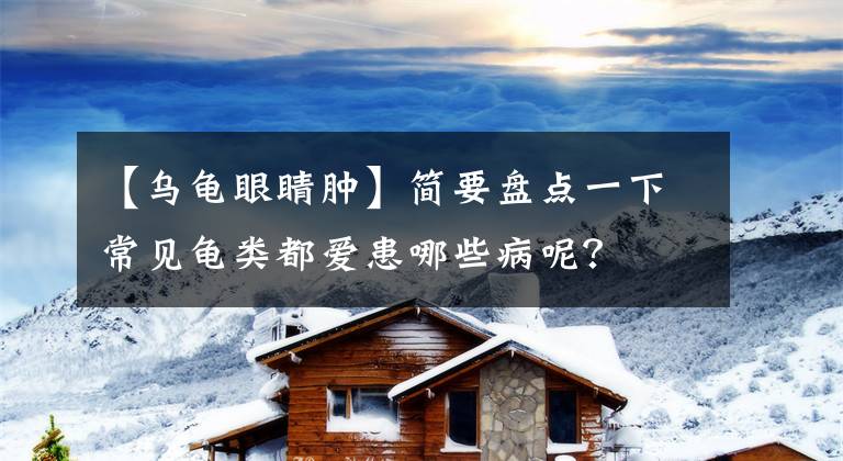 【乌龟眼睛肿】简要盘点一下常见龟类都爱患哪些病呢?