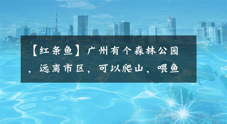 【红条鱼】广州有个森林公园，远离市区，可以爬山，喂鱼，还有人工湖