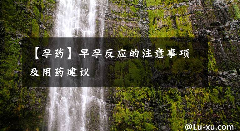 【孕药】早孕反应的注意事项及用药建议