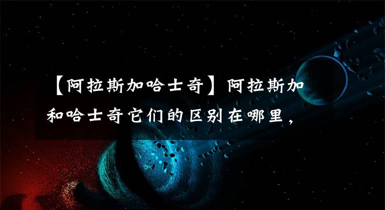 【阿拉斯加哈士奇】阿拉斯加和哈士奇它们的区别在哪里，谁更值钱一些呢，你喜欢哪个