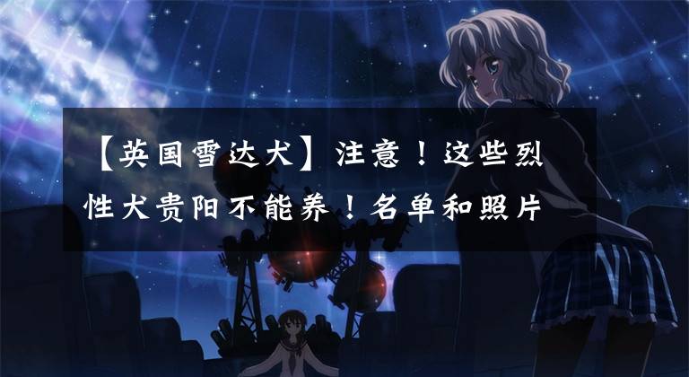 【英国雪达犬】注意！这些烈性犬贵阳不能养！名单和照片看这里→