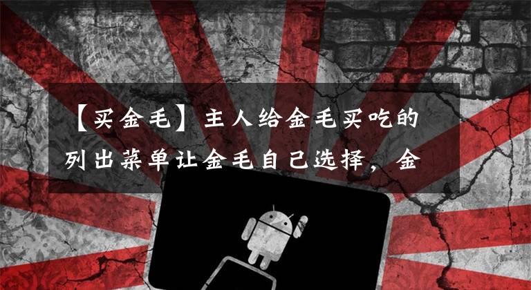 【买金毛】主人给金毛买吃的列出菜单让金毛自己选择,金毛:能不能都买?