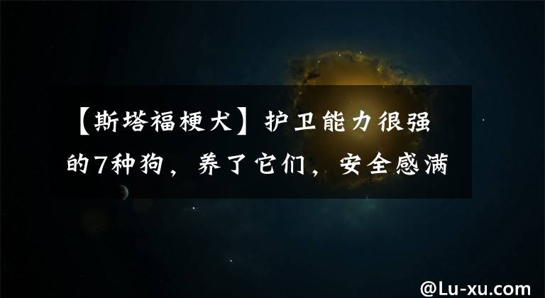 【斯塔福梗犬】护卫能力很强的7种狗，养了它们，安全感满满