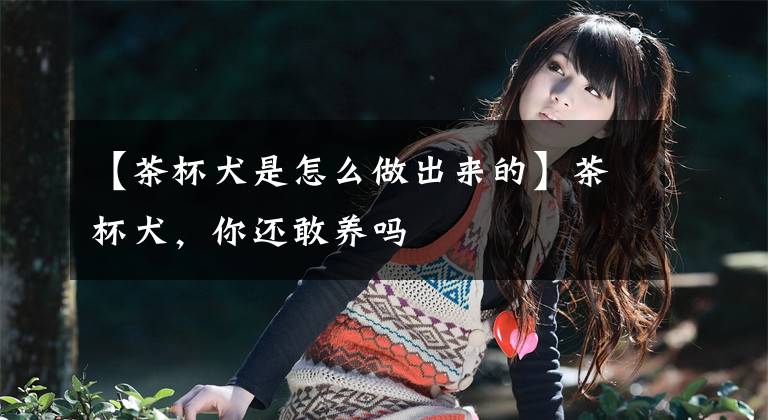 【茶杯犬是怎么做出来的】茶杯犬,你还敢养吗