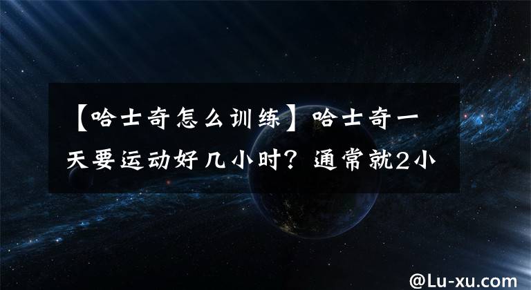 【哈士奇怎么训练】哈士奇一天要运动好几小时？通常就2小时，各品种狗狗运动量分析