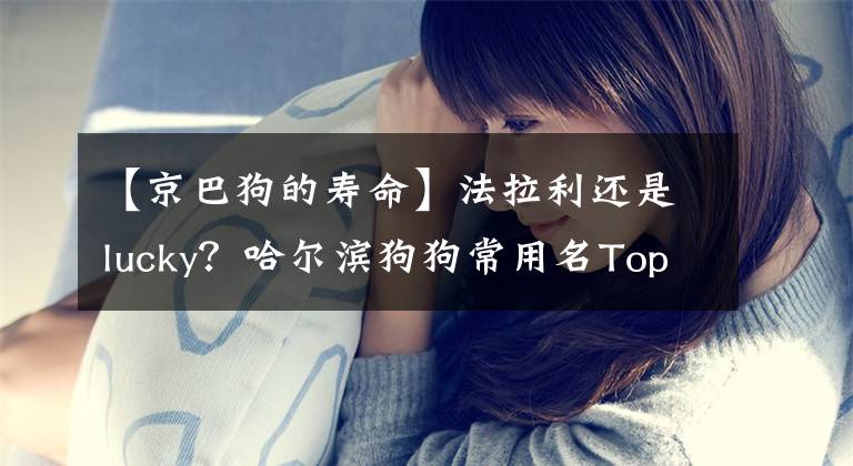 【京巴狗的寿命】法拉利还是lucky?哈尔滨狗狗常用名Top10出炉