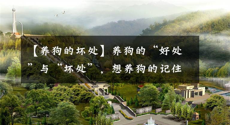 【养狗的坏处】养狗的“好处”与“坏处”，想养狗的记住了，以后用得上