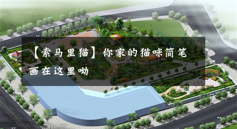 【索马里猫】你家的猫咪简笔画在这里呦