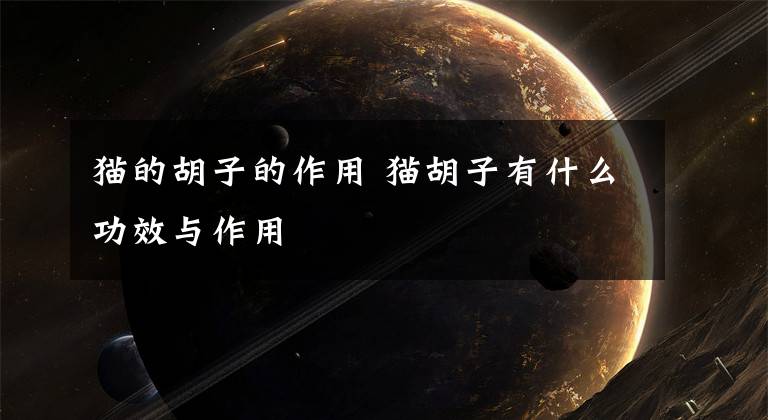 猫的胡子的作用 猫胡子有什么功效与作用