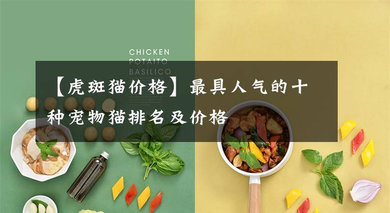 【虎斑猫价格】最具人气的十种宠物猫排名及价格