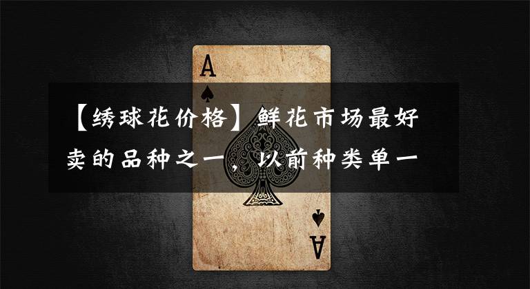 【绣球花价格】鲜花市场最好卖的品种之一,以前种类单一,价格却比较高,而现在