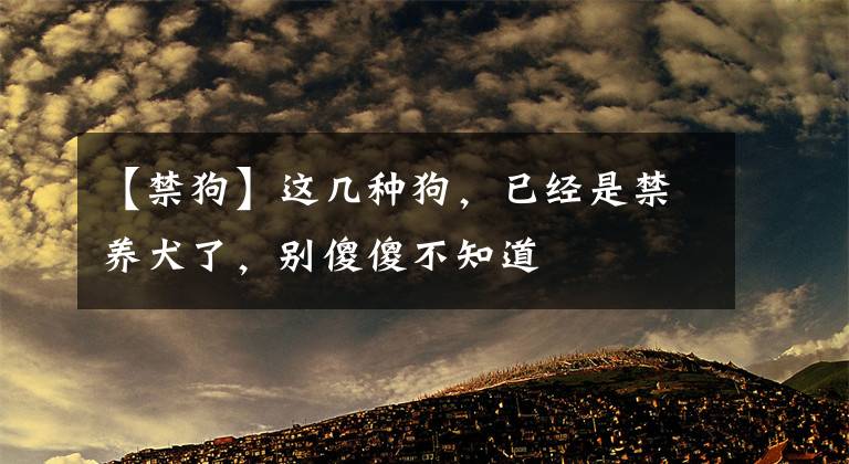 【禁狗】这几种狗，已经是禁养犬了，别傻傻不知道