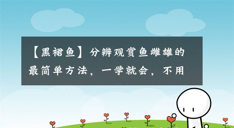 【黑裙鱼】分辨观赏鱼雌雄的最简单方法，一学就会，不用把鱼捉出对着屁股看