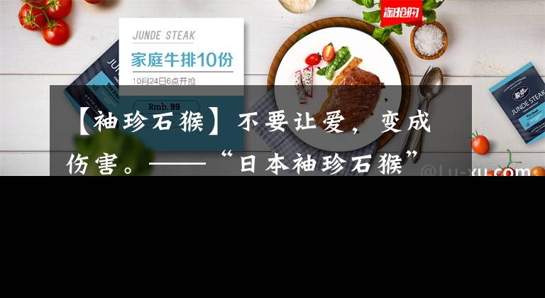 【袖珍石猴】不要让爱，变成伤害。——“日本袖珍石猴”背后