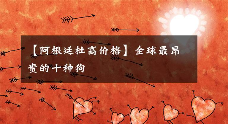 【阿根廷杜高价格】全球最昂贵的十种狗