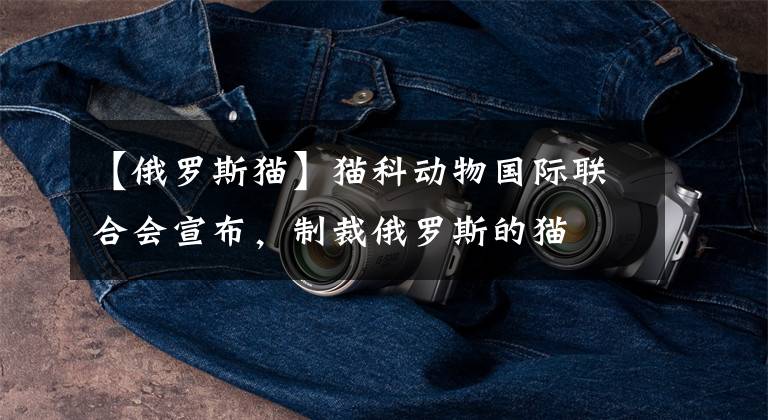 【俄罗斯猫】猫科动物国际联合会宣布，制裁俄罗斯的猫