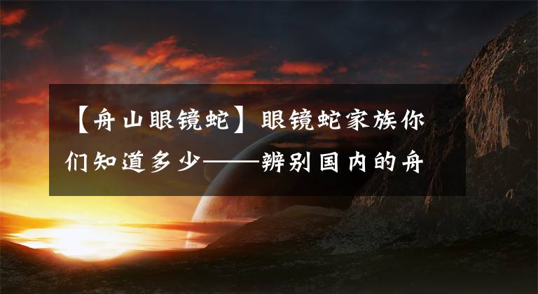 【舟山眼镜蛇】眼镜蛇家族你们知道多少——辨别国内的舟山眼镜蛇与孟加拉眼镜蛇