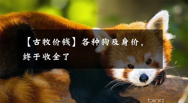 【古牧价钱】各种狗及身价，终于收全了