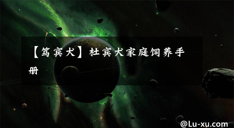 【笃宾犬】杜宾犬家庭饲养手册