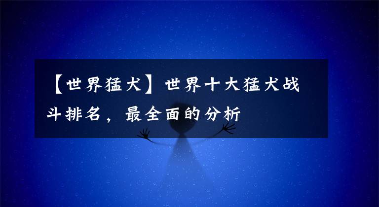 【世界猛犬】世界十大猛犬战斗排名,最全面的分析