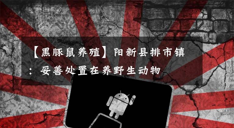 【黑豚鼠养殖】阳新县排市镇：妥善处置在养野生动物