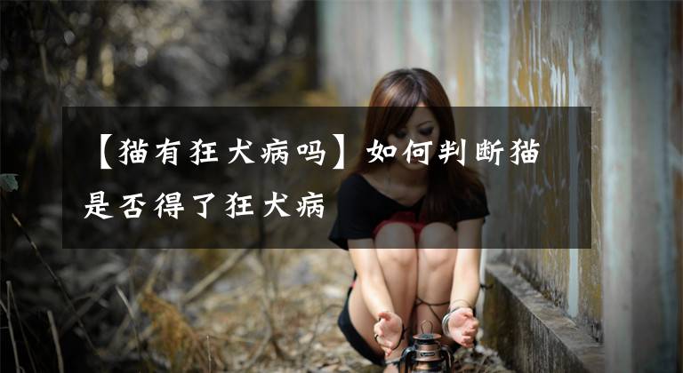 【猫有狂犬病吗】如何判断猫是否得了狂犬病