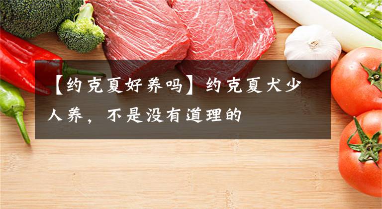 【约克夏好养吗】约克夏犬少人养，不是没有道理的