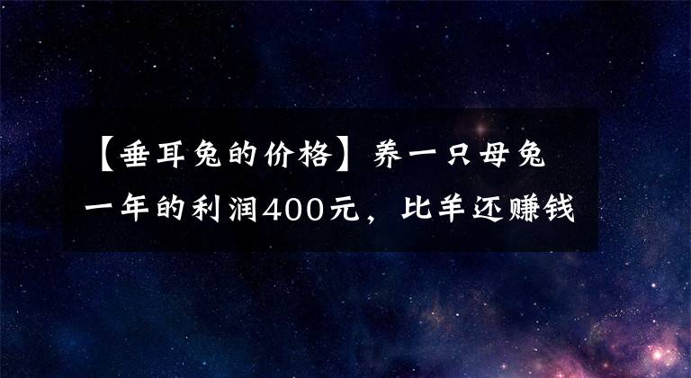【垂耳兔的价格】养一只母兔一年的利润400元，比羊还赚钱，兔子还可以养殖吗？