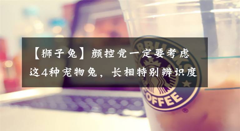 【狮子兔】颜控党一定要考虑这4种宠物兔，长相特别辨识度超高，还超可爱