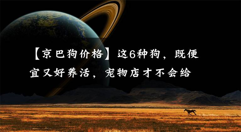 【京巴狗价格】这6种狗，既便宜又好养活，宠物店才不会给你推荐