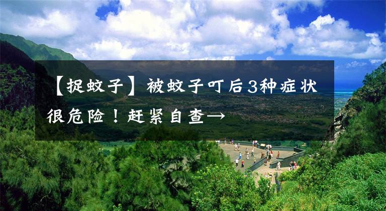 【捉蚊子】被蚊子叮后3种症状很危险!赶紧自查→