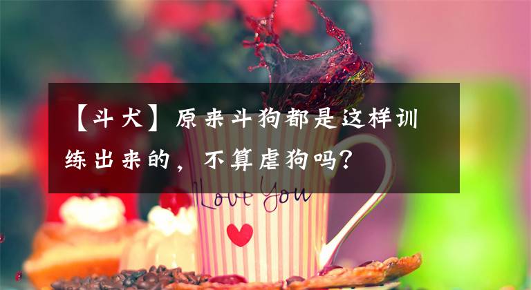 【斗犬】原来斗狗都是这样训练出来的，不算虐狗吗？