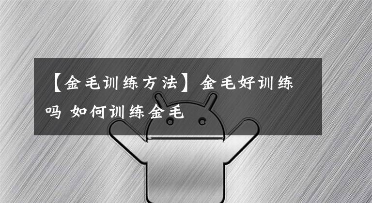 【金毛训练方法】金毛好训练吗 如何训练金毛
