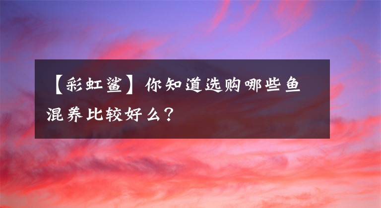 【彩虹鲨】你知道选购哪些鱼混养比较好么?