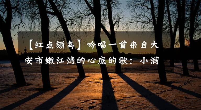 【红点颏鸟】吟唱一首来自大安市嫩江湾的心底的歌:小满雀来全