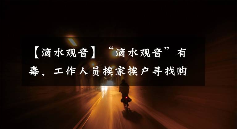 【滴水观音】“滴水观音”有毒,工作人员挨家挨户寻找购买人