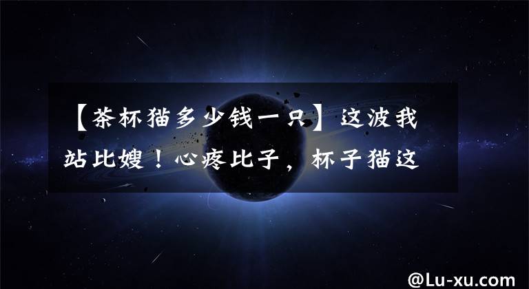 【茶杯猫多少钱一只】这波我站比嫂！心疼比子，杯子猫这话垃圾了