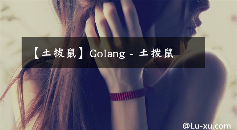 【土拔鼠】Golang - 土拨鼠