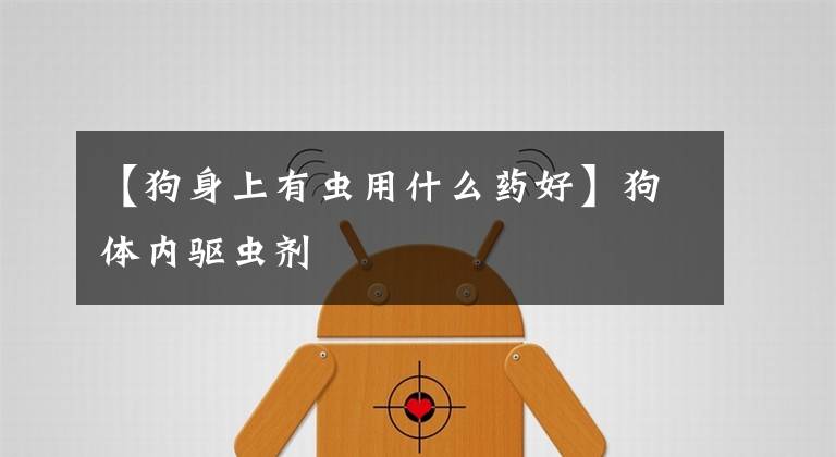 【狗身上有虫用什么药好】狗体内驱虫剂