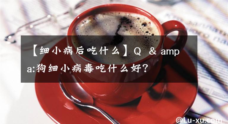 【细小病后吃什么】Q & ampa:狗细小病毒吃什么好？