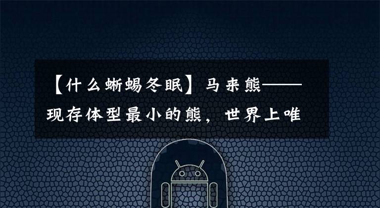 【什么蜥蜴冬眠】马来熊——现存体型最小的熊,世界上唯一不冬眠的熊,反而怕冷。