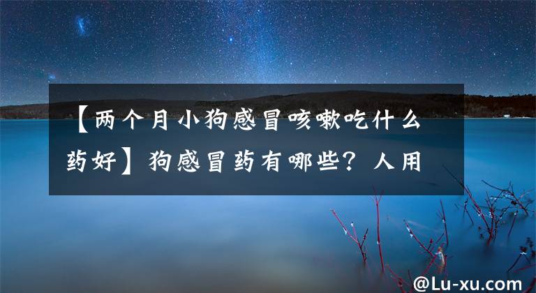 【两个月小狗感冒咳嗽吃什么药好】狗感冒药有哪些?人用的东西能吃吗?